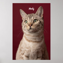 Personalized Dog & Cat Name Photo Prints, Instant Poster