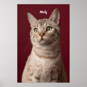 Personalized Dog & Cat Name Photo Prints, Instant Poster