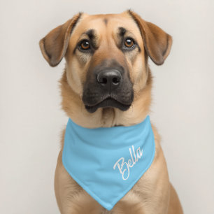Personalized Dog Cat Pet Name Script Baby Blue Bandana Collar