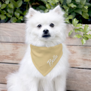 Personalized Dog Cat Pet Name Script Beige Bandana Collar