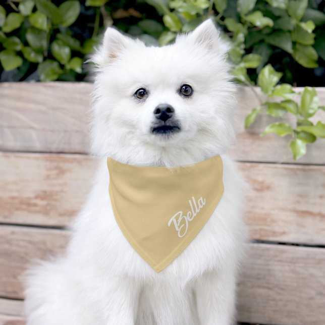Personalized Dog Cat Pet Name Script Beige Bandana Collar (Dog)