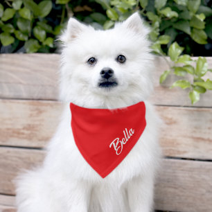 Personalized Dog Cat Pet Name Script Red Bandana Collar