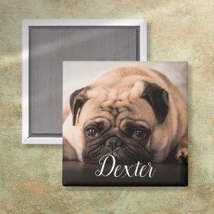 Personalized Dog Cat Pet Photo Script Name Magnet