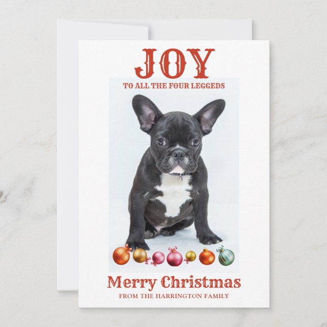 Personalized Dog Christmas Joy To Four Leggeds Holiday Card (Front)