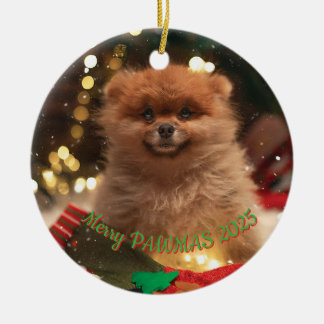 Personalized Dog Christmas Ornament – Custom Photo