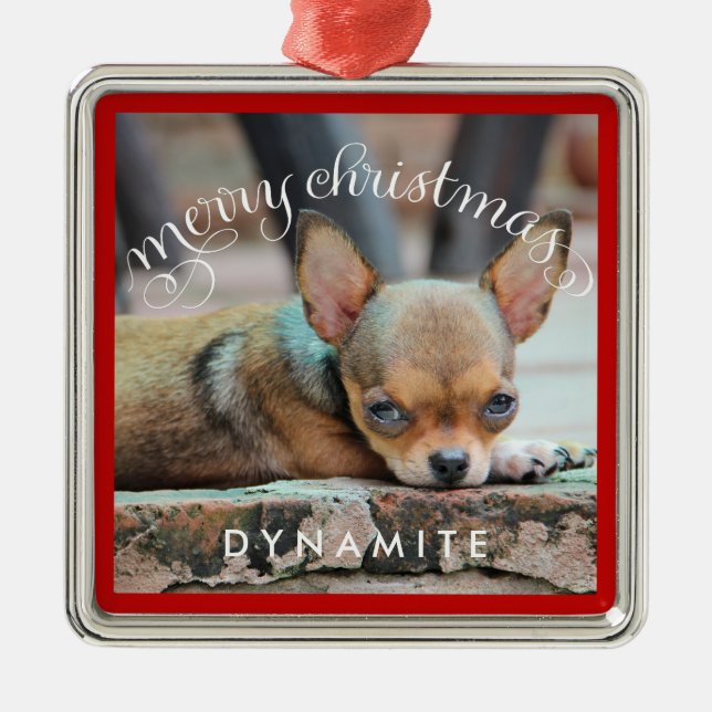 Personalized Dog Christmas Ornaments Metal Photo (Front)