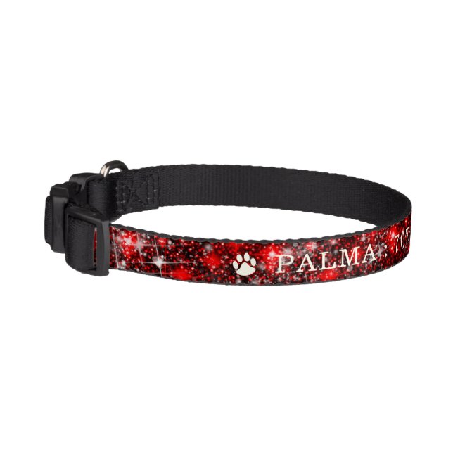 Personalized Dog Collar  Name and number (Left)