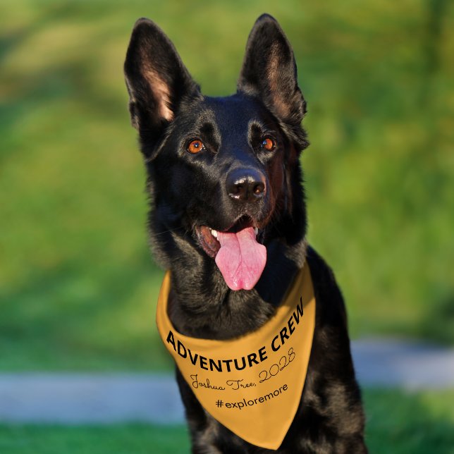 Personalized Dog Collars | Custom & Safe (Dog)