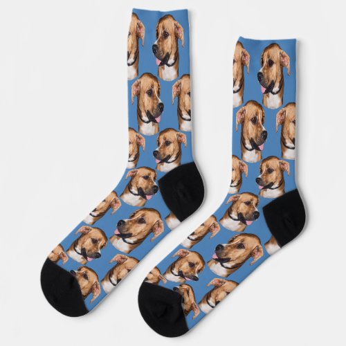 Personalized dog face photo Blue Cute Fun Pet Socks