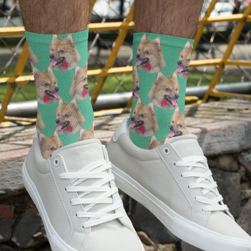 Personalized dog face photo Mint green Cute Pet Socks