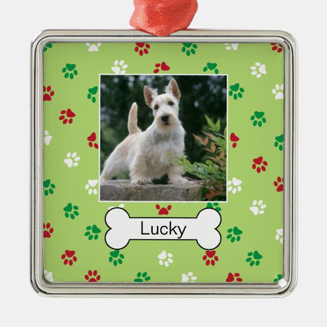Personalized Dog Mini Frame Ornament (Front)