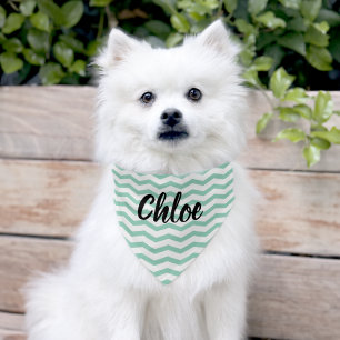 Personalized dog name chevron zig zag stripe pet bandana collar