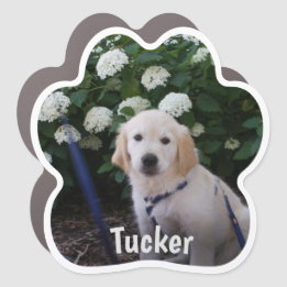 Personalized Dog Paw Print Photo Car Magnet