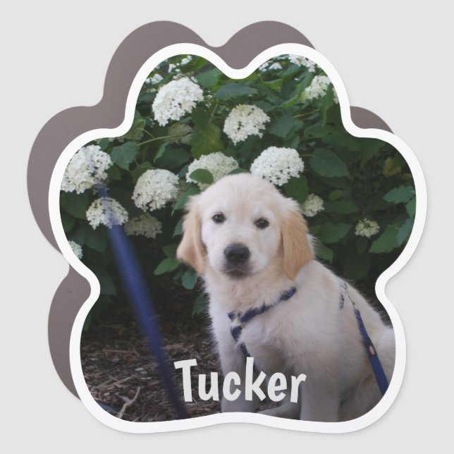 Personalized Dog Paw Print Photo Car Magnet  (Front)