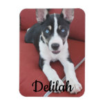 Personalized Dog | Pet Photo  Magnet at Zazzle