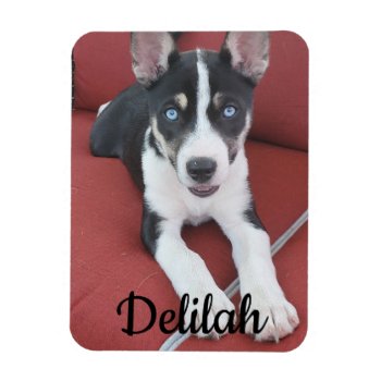 Personalized Dog | Pet Photo  Magnet by Magical_Maddness at Zazzle