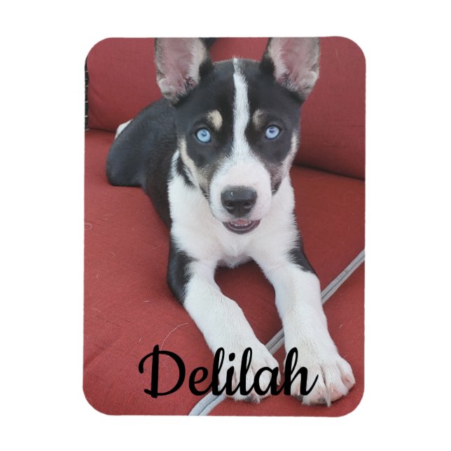 Personalized Dog | Pet Photo  Magnet (Vertical)