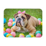 Personalized Dog Pet Photo Magnet at Zazzle