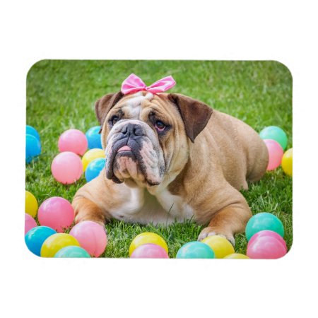 Personalized Dog Pet Photo Magnet