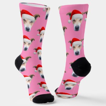 Personalized Dog Pet Photo Pink Socks by JennLenayDesigns at Zazzle
