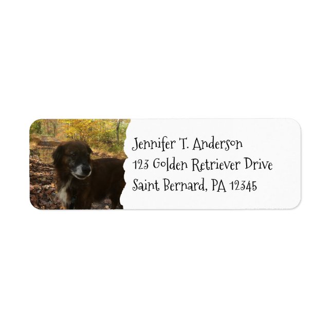 Personalized Dog Pet Photo Return Address Label (Front)