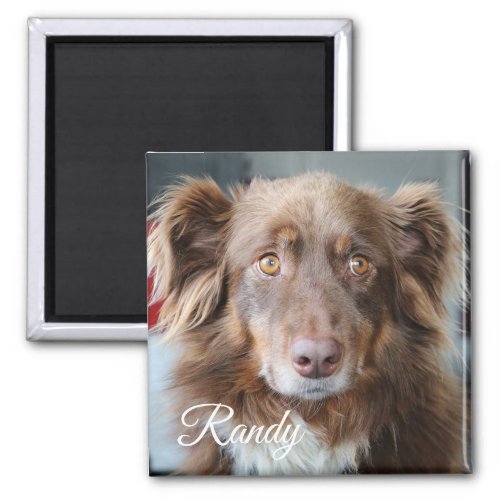 Personalized Dog Photo and Name Magnet
