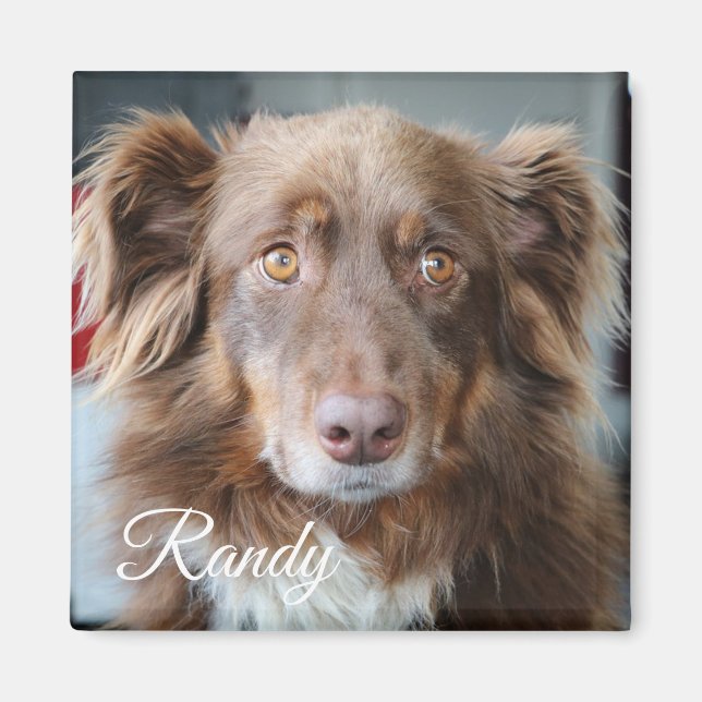 Personalized Dog Photo and Name Magnet (Front)