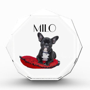 Personalized Dog Photo Block