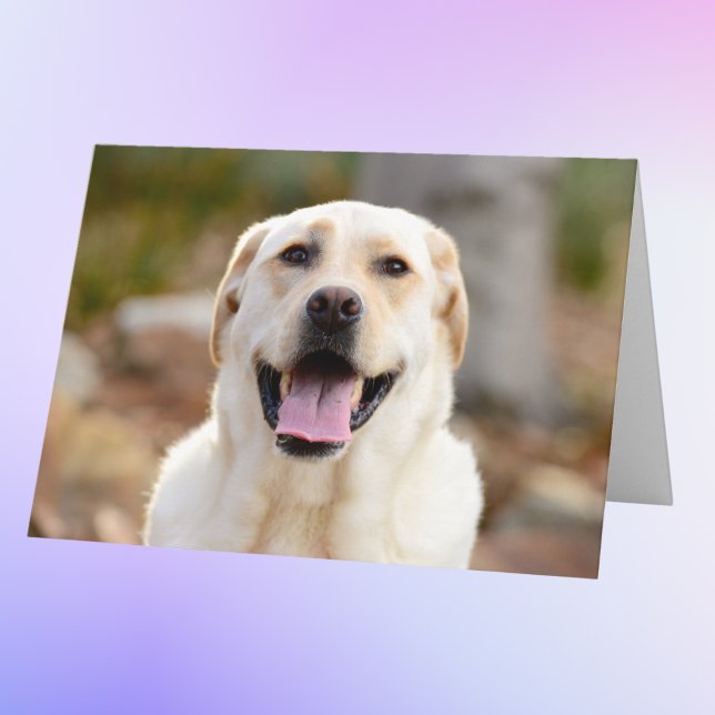 Personalized Dog Photo Card (Creator Uploaded)