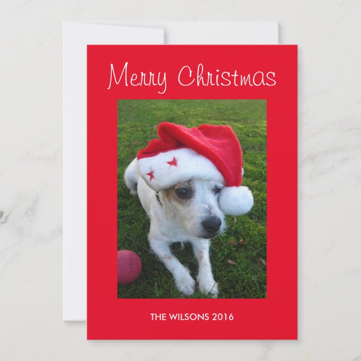 Personalized Dog Photo Christmas Card Zazzle Personalized Dog Photo Christmas Card