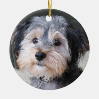 Personalized Dog Photo Frame - Double-sided Ceramic Ornament by MyPetShop at Zazzle