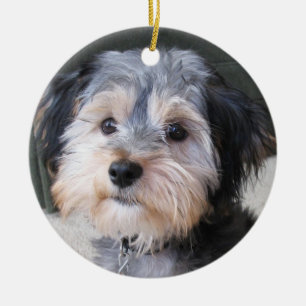 Personalized Dog Photo Frame - DOUBLE-SIDED Ceramic Ornament