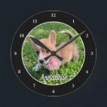 Personalized Dog Photo Monogram Modern Pet Owner Round Clock<br><div class="desc">Personalize with your own dog's photograph on this cute,  modern pet wall clock and customize with their name at the bottom. A beautiful custom gift for a dog or cat owner to immortalize their love. Bordered in black with white numbers.</div>