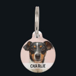 Personalized dog photo name phone number pet ID tag<br><div class="desc">Personalize this dog tag with your dog's photo,  name and keep your pup safe by adding phone number on the back.</div>