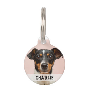 Personalized dog photo name phone number pet ID tag