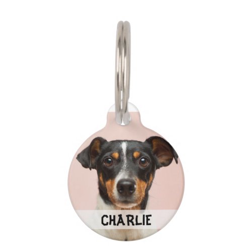 Personalized dog photo name phone number pet ID tag