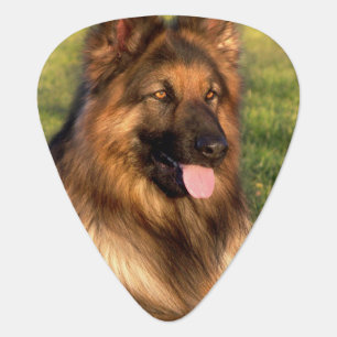 Personalized Dog Photo Pet Lover Guitar Pick