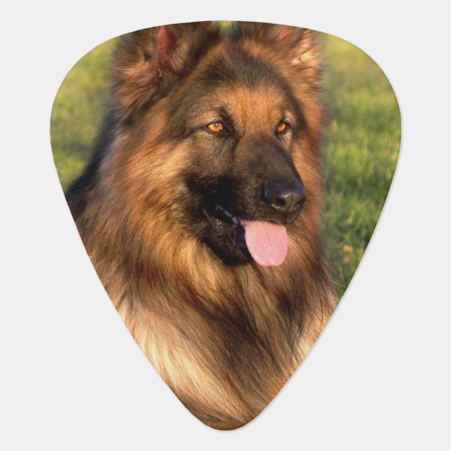 Personalized Dog Photo Pet Lover Guitar Pick (Front)