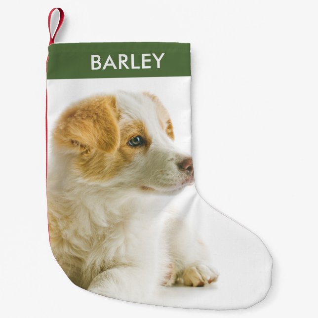 Personalized Dog Photo Pet Picture Small Christmas Stocking (Front)