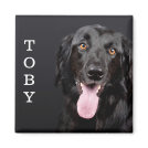 Personalized Dog Photo Refrigerator Magnet Personalized Dog Photo Refrigerator Magnet
