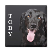 Personalized Dog Photo Refrigerator Magnet Personalized Dog Photo Refrigerator Magnet