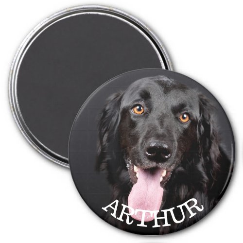 Personalized Dog Photo Refrigerator Magnet