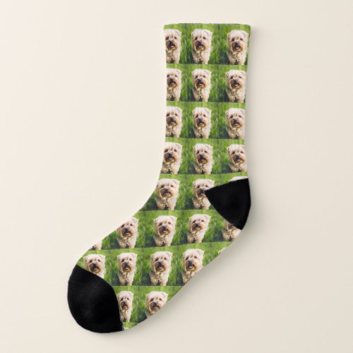 Personalized Dog Photo  Socks