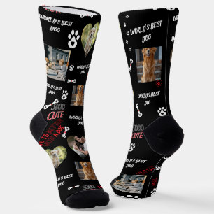 Personalized Dog Photo Socks - Custom Name