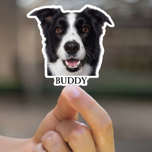 Personalized Dog Photo Sticker Custom Dog Stickers
