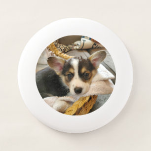Personalized Dog Photo Wham-O Frisbee