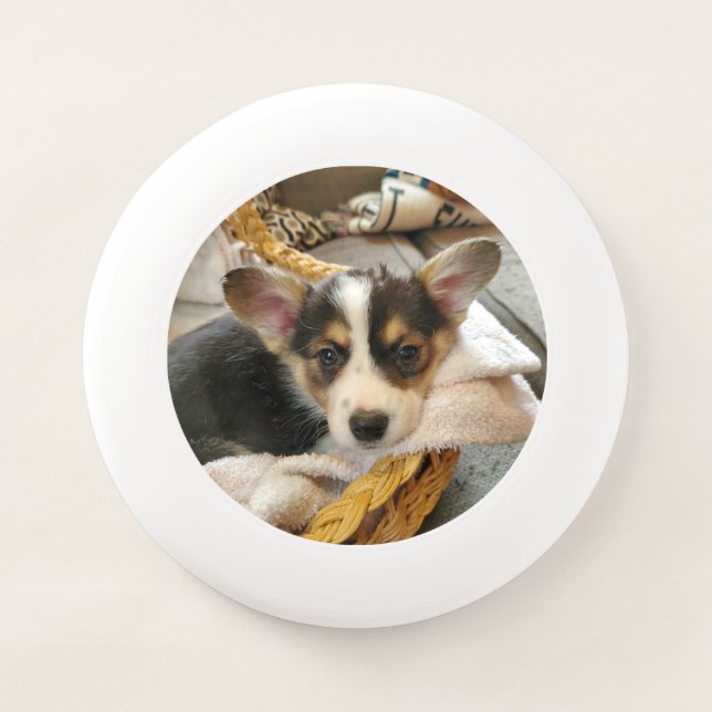 Personalized Dog Photo  Wham-O Frisbee (Front)