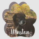 Personalized Dog Photo White Script Paw Print Car Magnet at Zazzle