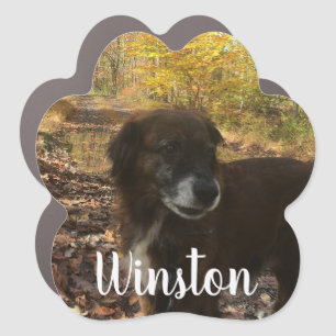 Personalized Dog Photo White Script Paw Print Car Magnet