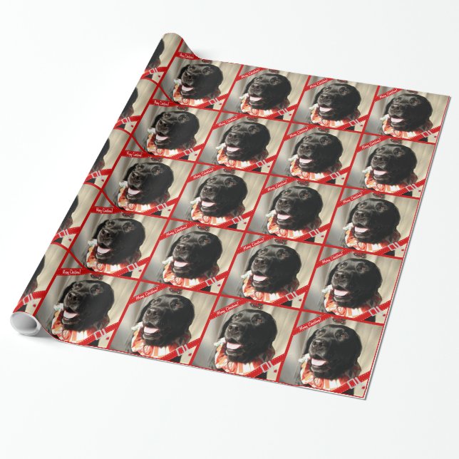 Personalized Dog Photo Wrapping Paper Template (Unrolled)